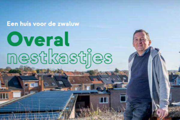 Nestkastjes preview.png