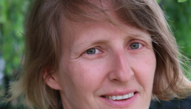 Marjan Verplancke