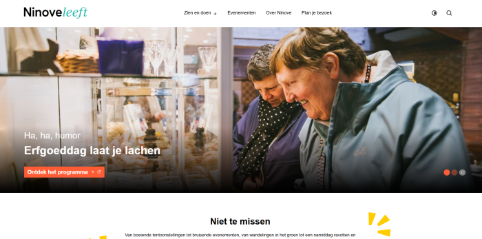 Screenshot website Ninove